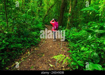 Wanderer über eine Brücke im Monte Verde Cloud Forest Preserve, Provinz Alajuela, Costa Rica Stockfoto