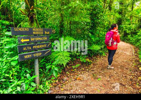 Wanderer über eine Brücke im Monte Verde Cloud Forest Preserve, Provinz Alajuela, Costa Rica Stockfoto