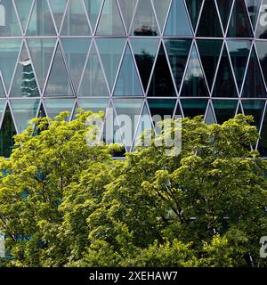 Grüner Baum vor dem Westhafenturm mit diamantartiger Fassadenstruktur, Frankfurt am Main Deutschland Stockfoto