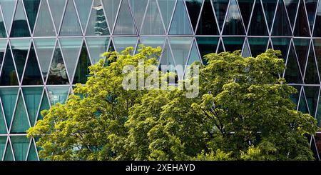 Grüner Baum vor dem Westhafenturm mit diamantartiger Fassadenstruktur, Frankfurt am Main Deutschland Stockfoto