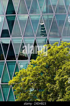 Grüner Baum vor dem Westhafenturm mit diamantartiger Fassadenstruktur, Frankfurt am Main Deutschland Stockfoto