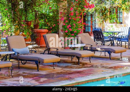 Ruhige Hinterhofoase mit Liegestühlen am Pool, leuchtenden Blumen und üppigem Grün zum Entspannen. Stockfoto