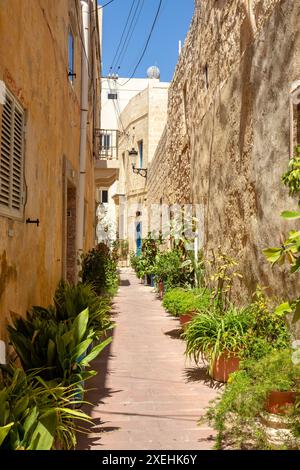 Eine der kleinen historischen versteckten Straßen in der antiken Stadt Rabat. Malta Stockfoto