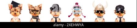 Niedliche Welpen in verschiedenen Kostümen wie Lehrer, Skifahrer, Gentlemen, Arbeiter und Weihnachtsmann isoliert auf weißem Hintergrund Stockfoto