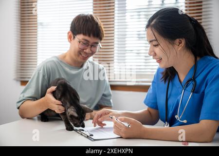 Ein professioneller Tierarzt hilft der Katze. Besitzer Katze hält Haustier an Händen. Katze auf dem Untersuchungstisch der Tierarztklinik. Veterinär c Stockfoto