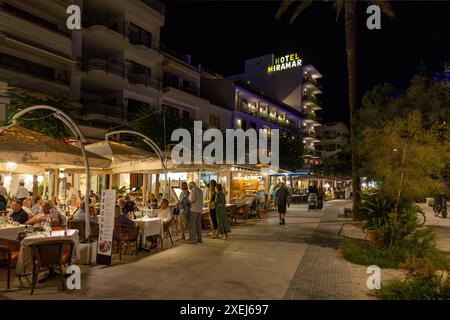 The Pine Walk at Night, Puerto Pollensa, Port de Pollenca, Mallorca, Balearen, Spanien Stockfoto