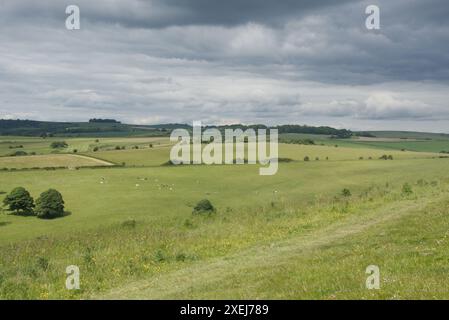 Die South Downs Country in Findon bei Worthing, West Sussex, England. Blick nach Norden vom Cissbury Ring. Frühsommer mit bewölktem Himmel. Stockfoto