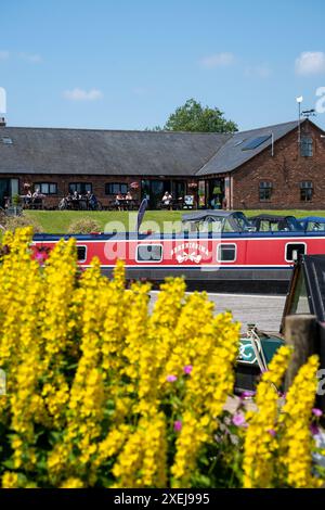 Schmalboote vertäuten in Aqueduct Marina am Middlewich-Zweig des Shropshire Union Canal in Cheshire. Stockfoto