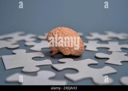 Ein Nahmodell eines menschlichen Gehirns, umgeben von verstreuten Puzzleteilen. Stockfoto