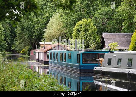 An einem Sommertag in England, Großbritannien, vertäute Hausboote auf dem Basingstoke-Kanal und der umliegenden Landschaft in der Nähe von West Byfleet Surrey Stockfoto