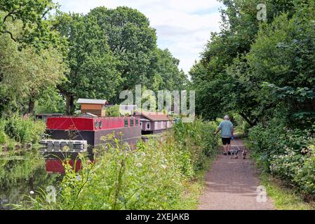 An einem Sommertag in England, Großbritannien, vertäute Hausboote auf dem Basingstoke-Kanal und der umliegenden Landschaft in der Nähe von West Byfleet Surrey Stockfoto