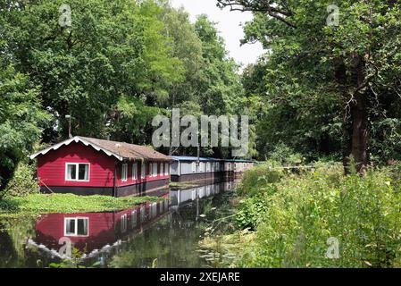 An einem Sommertag in England, Großbritannien, vertäute Hausboote auf dem Basingstoke-Kanal und der umliegenden Landschaft in der Nähe von West Byfleet Surrey Stockfoto