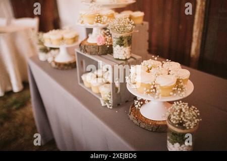 Cupcake-Display mit rustikalem Charme, Babyatmung. Stockfoto