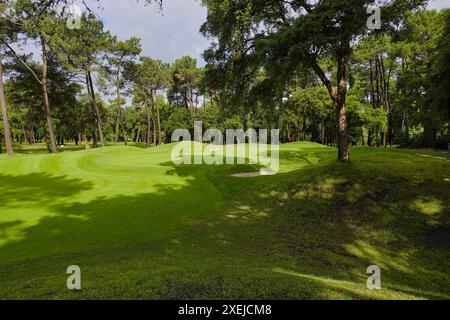 Seignosse Golf Club, Les Landes, Frankreich, 18.-22. Juni 2024 in der Nähe der Summer France Villas in Le Villas La Clairire aux Chevreuils, einem erstklassigen Urlaubsort, liegt der Golfplatz Seignosse. Ein wirklich hartes Layout, das von in 1989 entworfen wurde – bringen Sie jede Menge Bälle mit, wenn Sie spielen! OPS hier: Das dritte Grün Stockfoto