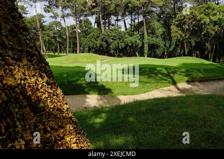 Seignosse Golf Club, Les Landes, Frankreich, 18.-22. Juni 2024 in der Nähe der Summer France Villas in Le Villas La Clairire aux Chevreuils, einem erstklassigen Urlaubsort, liegt der Golfplatz Seignosse. Ein wirklich hartes Layout, das von in 1989 entworfen wurde – bringen Sie jede Menge Bälle mit, wenn Sie spielen! OPS hier: Das dritte Grün Stockfoto