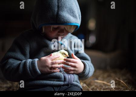 Junge in grauem Kapuzenpulli mit gelbem Mädel, auf Strohhalm in einer dunklen Scheune Stockfoto