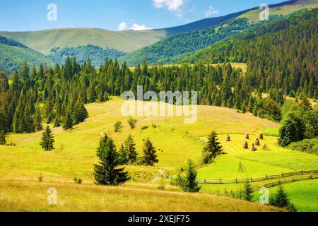 Ländliche Landschaft mit Feld auf einem Hügel. Heuhaufen auf einer grünen Wiese. Wunderschöne Landschaft an einem Sommertag in den Bergen. transkarpaten Stockfoto