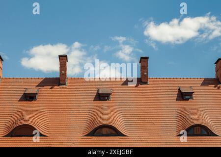 Das gekachelte Dach eines alten Gebäudes mit Schornsteinen vor einem bewölkten Himmel. Stockfoto