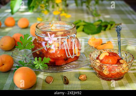 Ein Glas Aprikosenmarmelade auf rustikalem Tischtuch Hintergrund Stockfoto