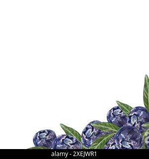 Blaubeerrahmen. Beeren und Blätter. Handgezeichnete Aquarellillustration isoliert auf weißem Hintergrund. Für Grußkarten, Einladungen, Essen und Cosmet Stockfoto