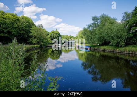 Sommernachmittag am Don, Low Sprotbrough Stockfoto