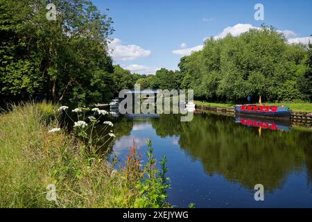 Sommernachmittag am Don, Low Sprotbrough Stockfoto