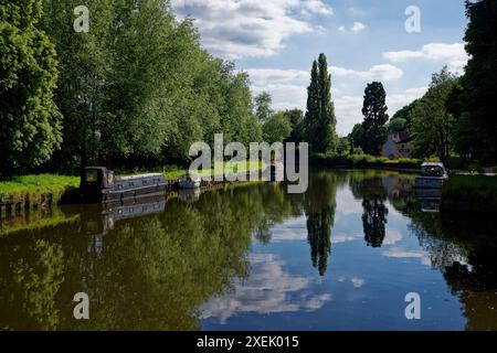 Sommernachmittag am Don, Low Sprotbrough Stockfoto