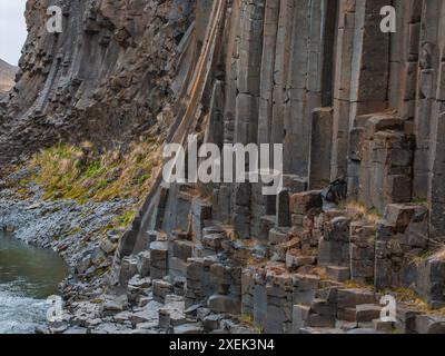 Nahaufnahme der sechseckigen Basaltsäulen in Islands einzigartiger geologischer Landschaft Stockfoto