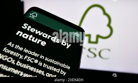 Mobiltelefon mit Website der Organisation Forest Stewardship Council GmbH (FSC) vor dem Logo. Fokussieren Sie sich oben links auf der Telefonanzeige. Stockfoto