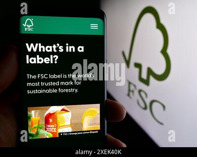 Person mit Smartphone und Webseite der Organisation Forest Stewardship Council GmbH (FSC) vor dem Logo. Konzentrieren Sie sich auf die Mitte des Telefondisplays. Stockfoto