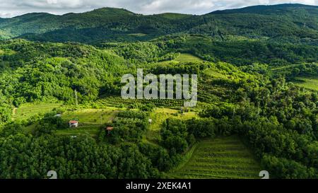 Fesselnde Drohnenaufnahme der Sommerberge im Vipava-Tal, Slowenien Stockfoto