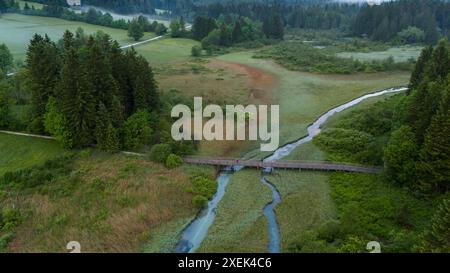 Zelenci Springs von oben: Die Naturschönheit Sloweniens Stockfoto