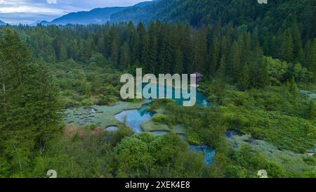 Atemberaubende Luftaufnahmen von Zelenci Springs, Slowenien: Ein verstecktes Juwel in den Julischen Alpen Stockfoto