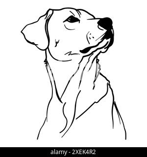Umrissportrait von labrador. Hand gezeichnete Hundevektor-Illustration in schwarzer Farbe isoliert auf weißem Hintergrund. Strichgrafik. Gravierter Stil Stock Vektor