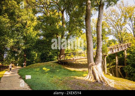 Weibliche Touristen spazieren den Weg entlang, umgeben von landschaftlich reizvoller grüner Landschaft im dendrologischen Park in Shekvetili. Exotischer Garten und Flora Georgia Stockfoto