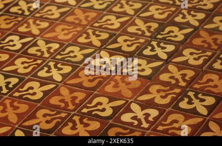 Wunderschöne mittelalterliche Fleur de Lis Fliesen in der Kathedrale von winchester Stockfoto