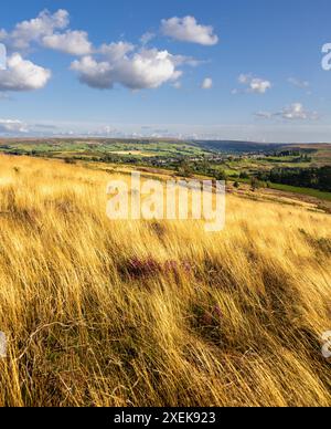 Castleton Village North York Moors National Park, North Yorkshire. Von der Guisborough Road aus gesehen Stockfoto