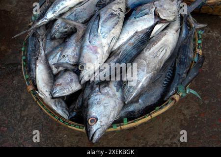 Fischmarkt. Chittagong. Bangladesch. Stockfoto