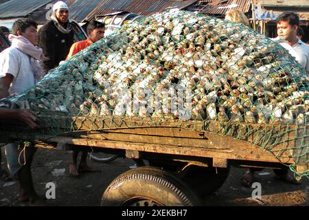 Fischmarkt. Chittagong. Bangladesch. Stockfoto