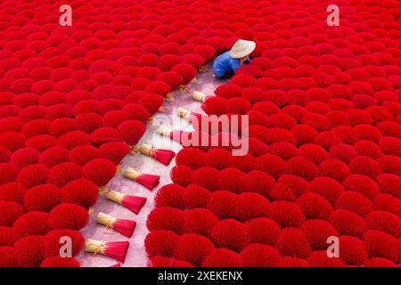 Leuchtend roter Weihrauch wird auf dem Boden zum Trocknen in der Sonne in Quang Phu Cau, Ung Hoa, in der Nähe von Hanoi, Nordvietnam, Asien gelegt - weibliche rote Weihrauchstäbchen Stockfoto