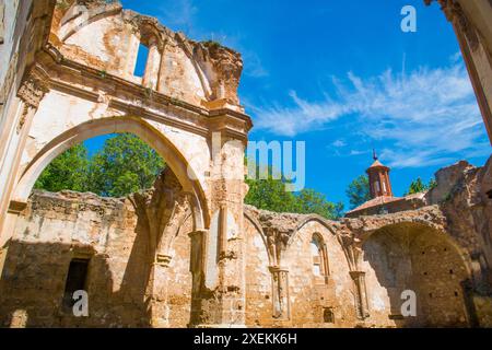 Die Ruinen der Kirche. Kloster Santa Maria de Piedra, Argonyos, Provinz Zaragoza, Aragon, Spanien. Stockfoto