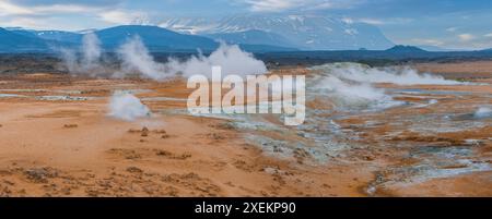 Geothermisches Gebiet im Haukadular Valley, Island, mit dampfenden heißen Quellen und heißen Wasserbächen Stockfoto