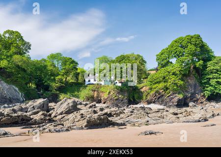 Frühlingssonnenlicht am Strand und den Klippenbäumen rund um Saundersfoot an der Küste von Pembrokeshire. Stockfoto