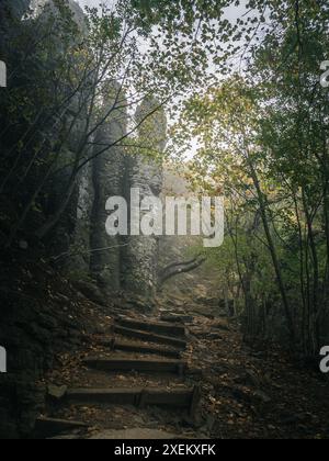 Eine Steintreppe von unten in einem nebeligen Herbstwald, stimmungsvolle Horror-Gruselstimmung, geheimnisvoller Pfad durch einen magischen Wald, stimmungsvoll Stockfoto