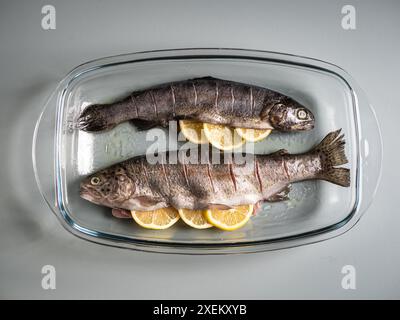 Zwei ganze Lachse in einer Glaspfanne, gefüllt mit Zitronenscheiben, die darauf warten, im Ofen gebacken zu werden, Fischzubereitung zur Verleihung Stockfoto