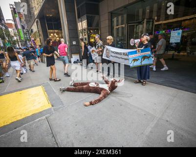 Tierschützer protestieren vor den Büros des Penguin Random House in New York über Adidas' Verwendung von Känguruhaut in ihren Schuhen. Thomas Rabe, Chairman von Adidas, ist auch CEO von Bertelsmann, Inhaber von Penguin Random House und zahlreichen anderen Medienunternehmen. (© Richard B. Levine) Stockfoto