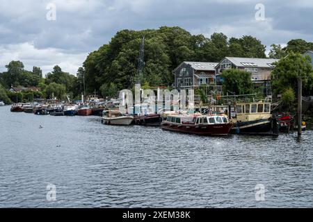 Bezaubernde Szene auf Eel Pie Island, mit Booten, die entlang der Küste ankern, Twickenham, London, Großbritannien; England Stockfoto