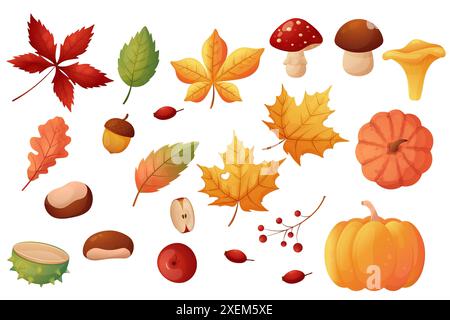 Herbstwald Set. Sammlung von gefallenen Blättern, Pilzen, Kastanien und Kürbissen. Isoliert auf weißem Hintergrund. Stock Vektor