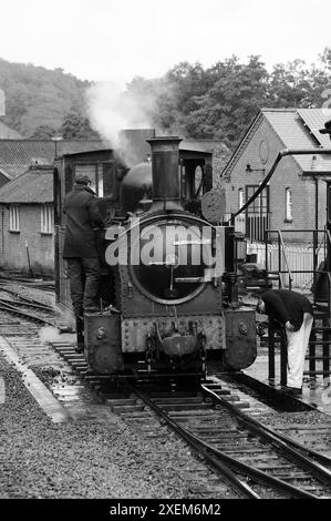 "Der Earl" bei Llanfair Careinion. Stockfoto