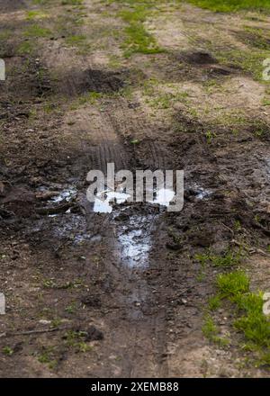 Nasse Landstraße, Radspuren im Boden. Schmutz nach Regen. Stockfoto